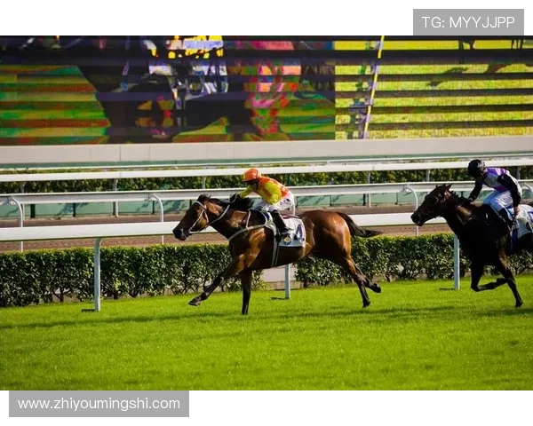 如何通过hkjc平台安全便捷地进行赛马投注，保障资金安全与账户安全